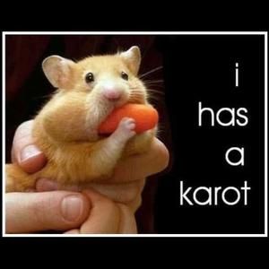 Meet your Posher, Hien